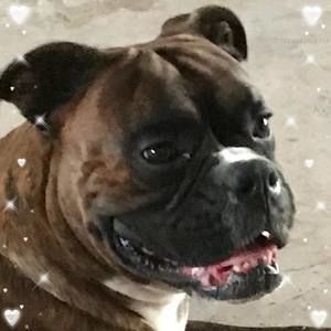 Meet your Posher, Sherry